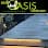 Eco oasis landscapes logo