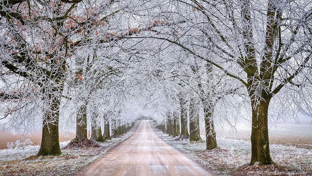 Towing in Cold Weather: Stay Safe When the Roads Are Icy